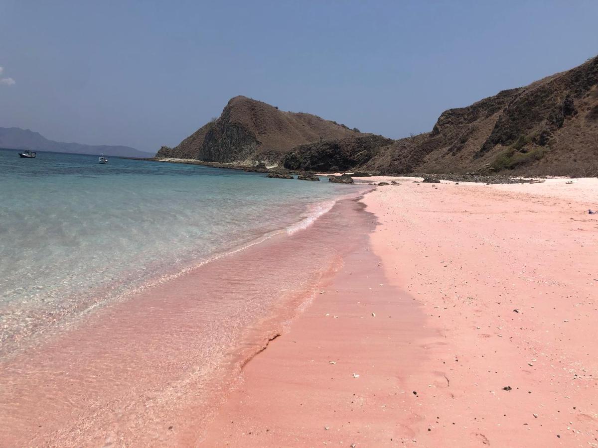 Dua Putri Komodo Homestay Dış mekan fotoğraf
