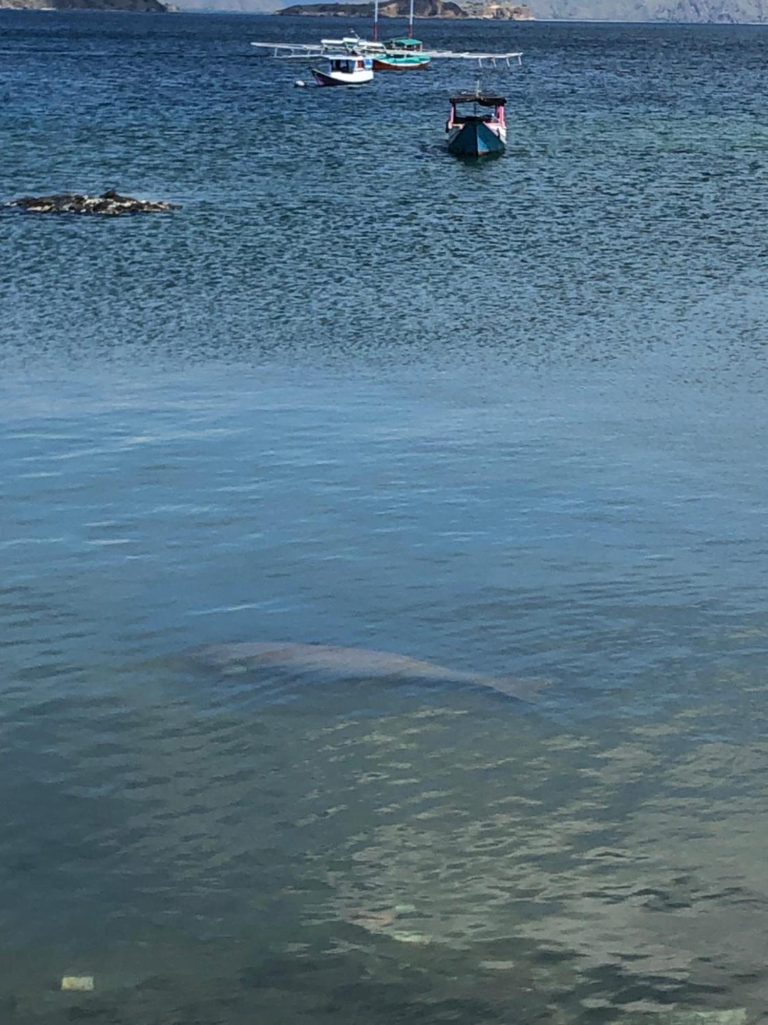 Dua Putri Komodo Homestay Dış mekan fotoğraf