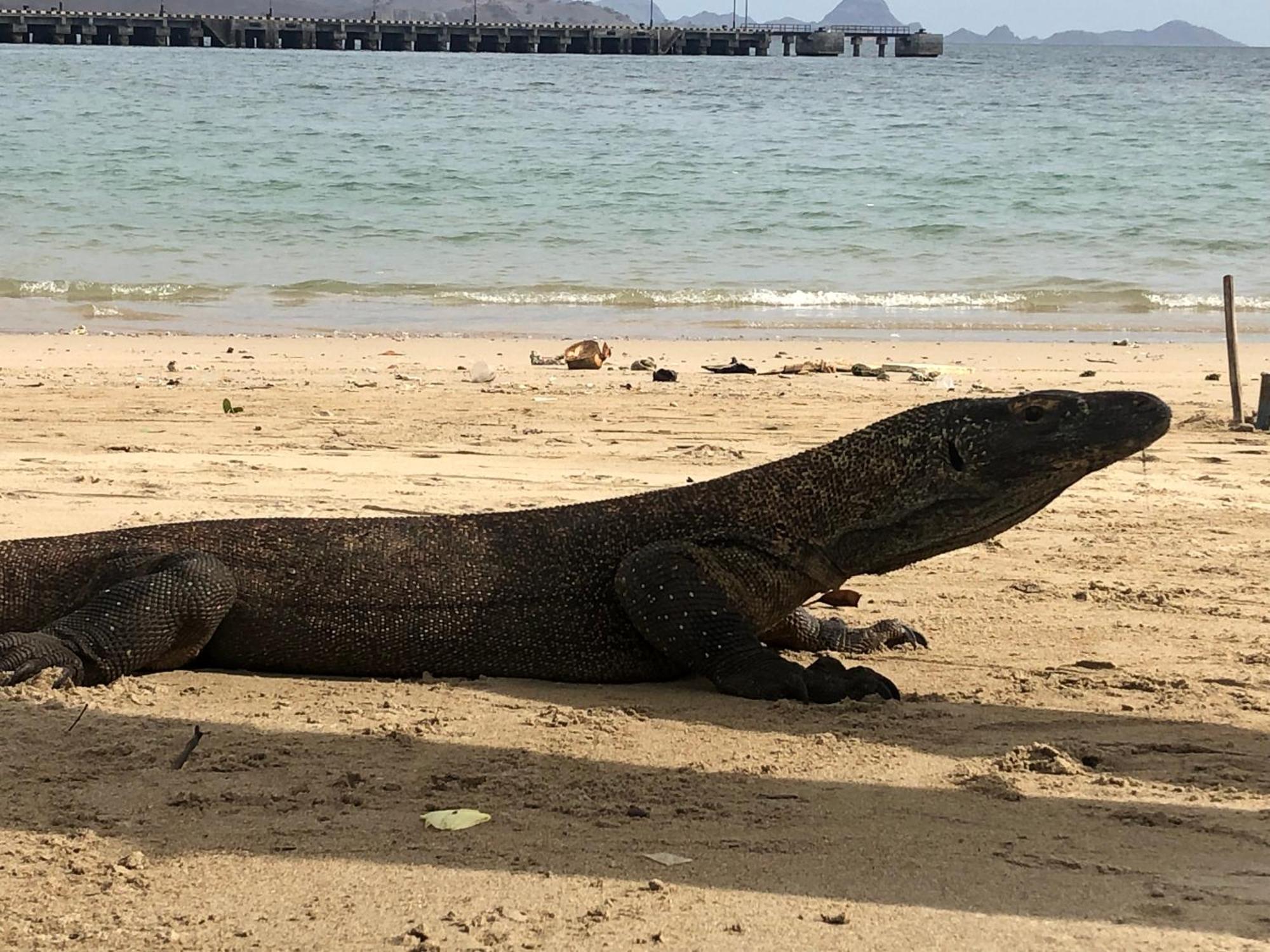 Dua Putri Komodo Homestay Dış mekan fotoğraf