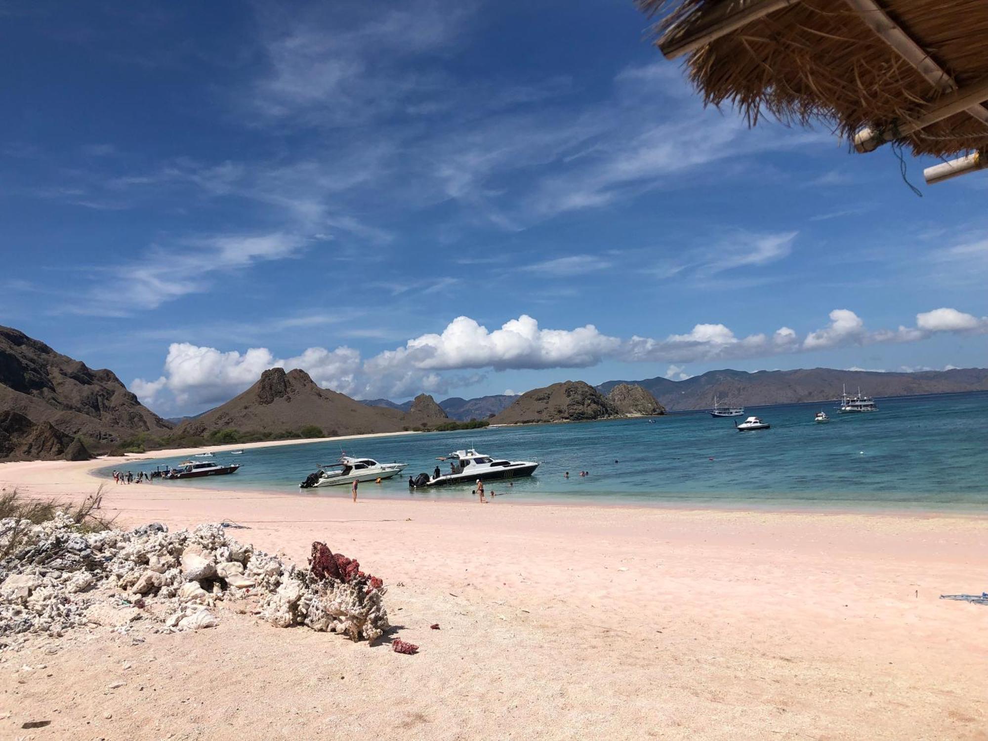 Dua Putri Komodo Homestay Dış mekan fotoğraf
