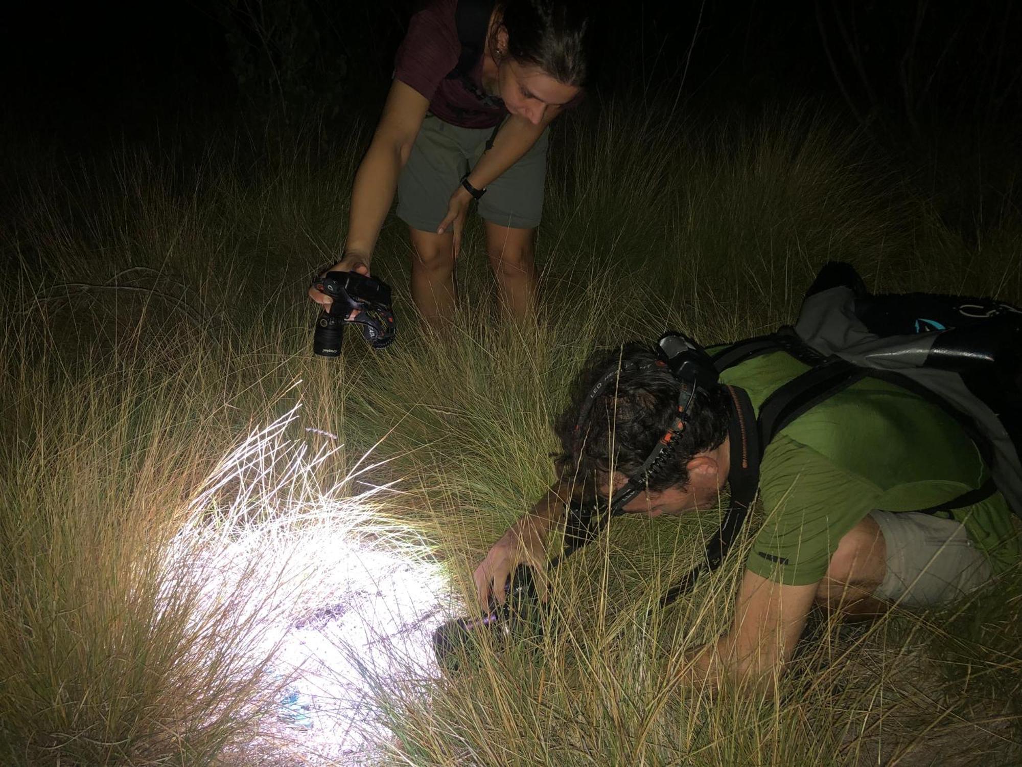 Dua Putri Komodo Homestay Dış mekan fotoğraf