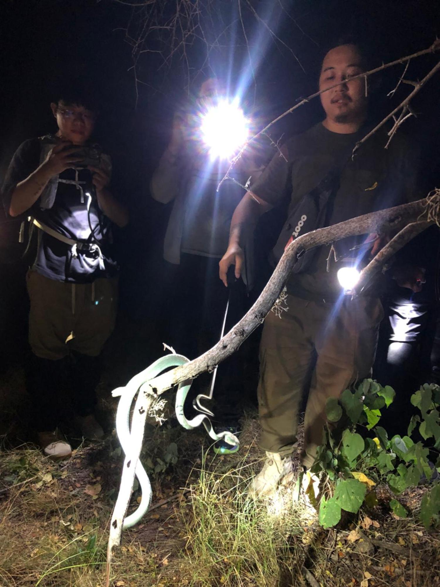 Dua Putri Komodo Homestay Dış mekan fotoğraf