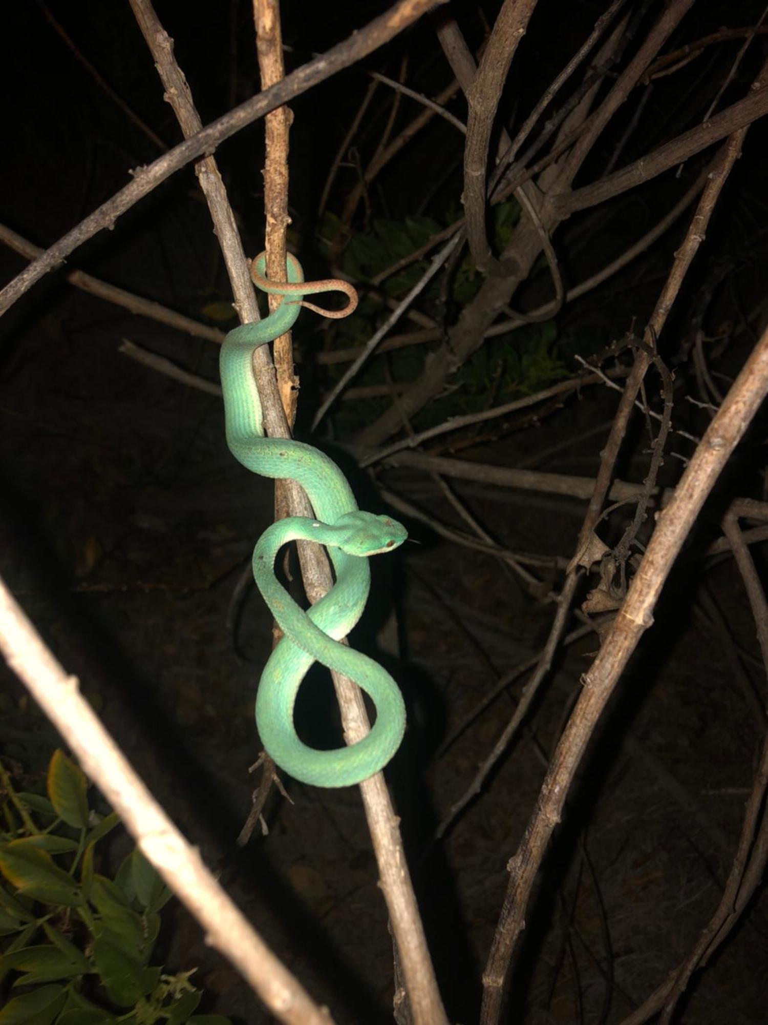 Dua Putri Komodo Homestay Dış mekan fotoğraf